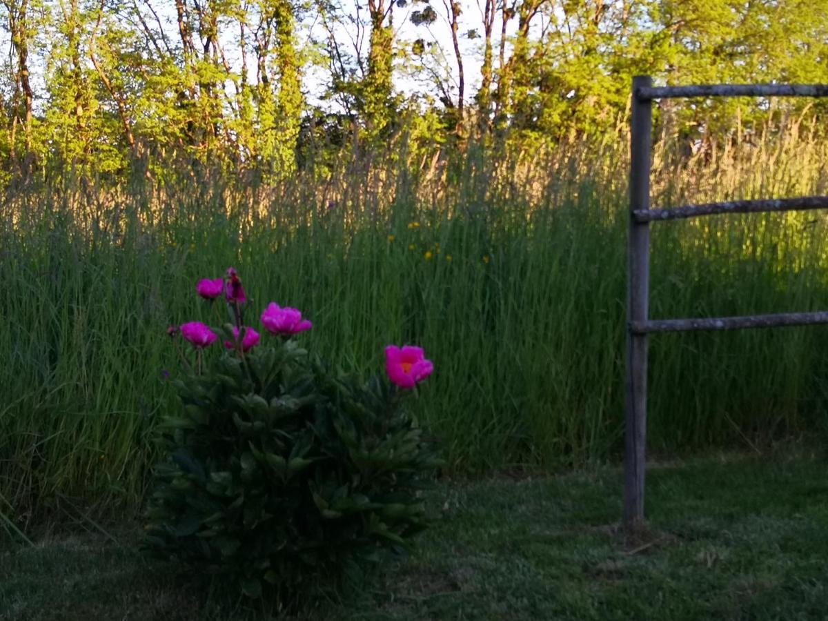 Gite De La Ferme De La Terve Bruailles Exterior foto